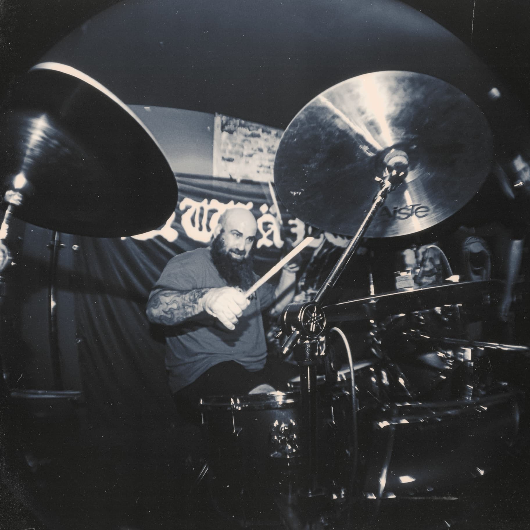A Horse Called War at Dead Wax — photo 3